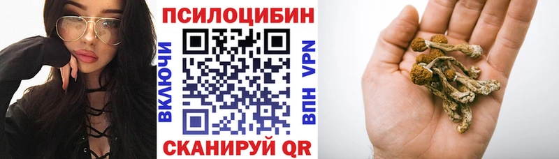 где можно купить   мега ссылки  Галлюциногенные грибы GOLDEN TEACHER  Кашира 